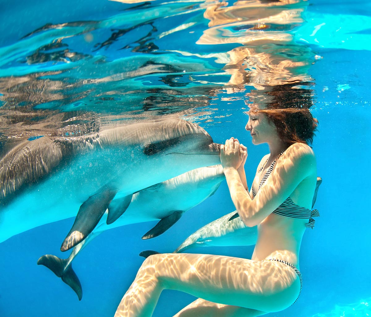Wild Dolphin Experiences in Puerto Vallarta