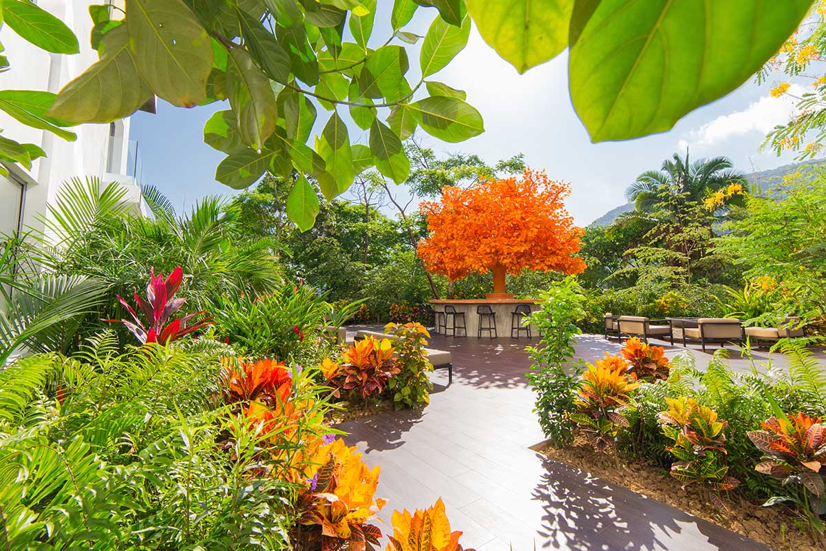 Indoor and Outdoor Living