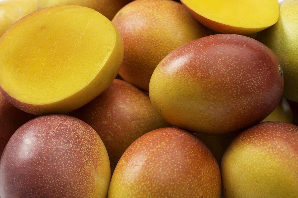 Mango Festival in Puerto Vallarta July 2018