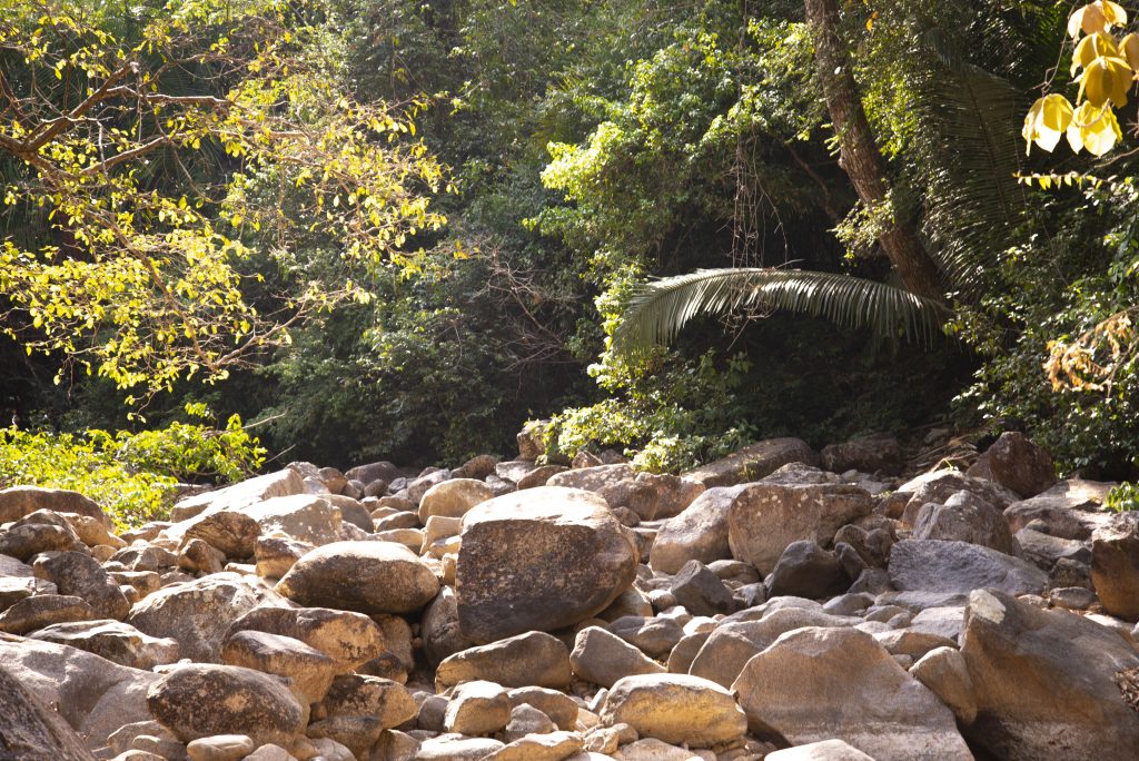 rocks