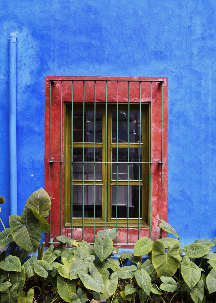 Window